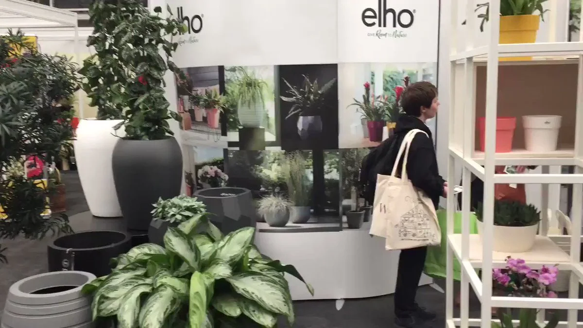 ELHO Soldes 2 ELHO Soldes -ELHO Soldes 1