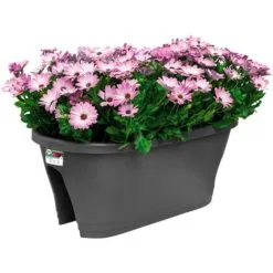 Balconnière Elho Corsica Flower Bridge 60cm Anthracite -ELHO Soldes 26842614 3