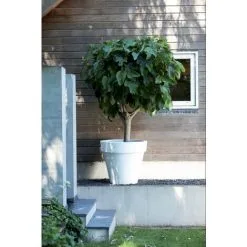 Pot Elho Pure Round Blanc 40cm -ELHO Soldes 26842624 5