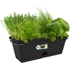 Pot Elho 'Green Basics Top Planter' Taupe 23cm - Noir -ELHO Soldes 26842696 5