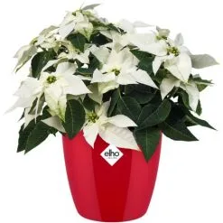 Pot De Fleurs Elho Brussels Diamond Rond Ø25cm Rouge -ELHO Soldes 26845138 5