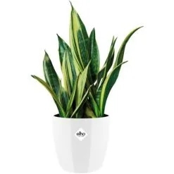 Pot De Fleurs Elho Diamond Rond Ø22cm Blanc -ELHO Soldes 27286530 3