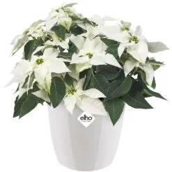 Pot De Fleurs Elho Diamond Rond Ø22cm Blanc -ELHO Soldes 27286530 4