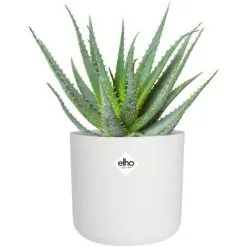 Pot De Fleurs Elho B. For Soft Rond Ø18cm Blanc 9 Pot De Fleurs Elho B. For Soft Rond Ø18cm Blanc -ELHO Soldes 28285491 5