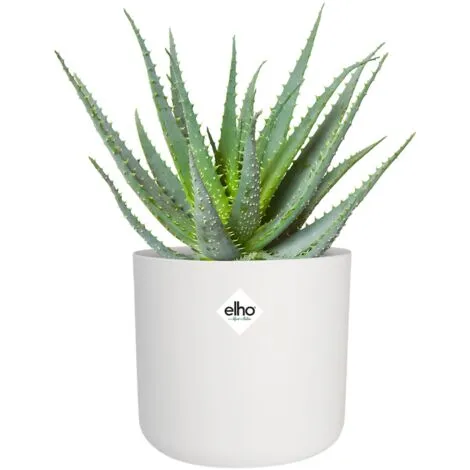 Pot De Fleurs Elho B. For Soft Rond Ø18cm Blanc 5 Pot De Fleurs Elho B. For Soft Rond Ø18cm Blanc – Image 5