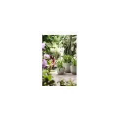 ELHO Fuente Lily Rond 30 Gris Granité -ELHO Soldes 39595972 3