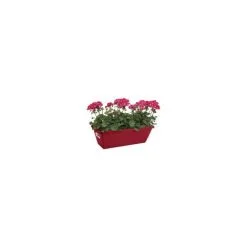 ELHO Balconniere Barcelona 50 - Fruits Rouges - Extérieur & Balcon - L 19,5 X W 50 X H 15,6 Cm -ELHO Soldes 40607791 3