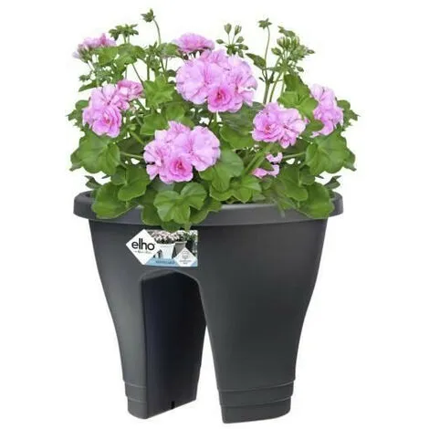 ELHO Bac De Balcon Corsica Flower Bridge 30 - Gris Anthracite - Extérieur & Balcon - L 29,6 X W 29,6 X H 24 Cm 3 ELHO Bac De Balcon Corsica Flower Bridge 30 - Gris Anthracite - Extérieur & Balcon - L 29,6 X W 29,6 X H 24 Cm – Image 3