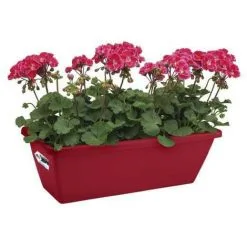 ELHO Balconniere Barcelona 50 - Fruits Rouges - Extérieur & Balcon - L 19,5 X W 50 X H 15,6 Cm -ELHO Soldes 44410287 3