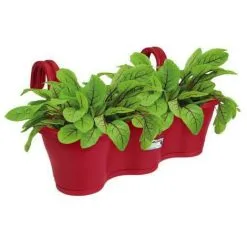 ELHO Jardiniere De Balcon Corsica Triple - Fruits Rouges - Extérieur & Balcon - L 27,1 X W 53,5 X H 25,9 Cm -ELHO Soldes 44410316 3