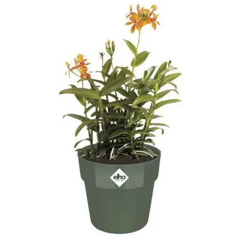 ELHO B.for Original Rond 25 Leaf Green 2 ELHO B.for Original Rond 25 Leaf Green – Image 2