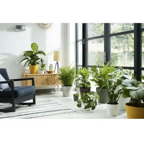 ELHO B.for Original Rond 25 Leaf Green 3 ELHO B.for Original Rond 25 Leaf Green – Image 3