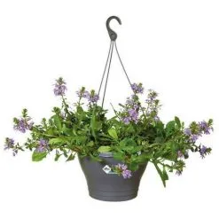 ELHO Pot De Fleurs A Suspendre Corsica 30 - Gris Anthracite - Extérieur & Balcon - Ø 29,4 X H 21,1 Cm -ELHO Soldes 44413425 3