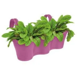 ELHO Jardiniere De Balcon Corsica Triple - Violet Vif - Extérieur & Balcon - L 27,1 X W 53,5 X H 25,9 Cm -ELHO Soldes 44413532 3