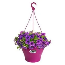 ELHO Pot De Fleurs A Suspendre Corsica 30 - Rose Cerise - Extérieur & Balcon - Ø 29,4 X H 21,1 Cm -ELHO Soldes 44414312 3