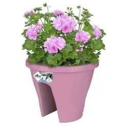 ELHO Bac De Balcon Corsica Flower Bridge 30 - Violet Vif - Extérieur & Balcon - L 29,6 X W 29,6 X H 24 Cm -ELHO Soldes 44414537 3