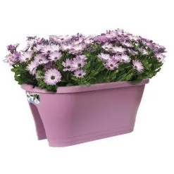 ELHO Bac De Balcon Corsica Flower Bridge 60 - Violet Vif - Extérieur & Balcon - L 29,6 X W 58 X H 24 Cm -ELHO Soldes 48674947 3