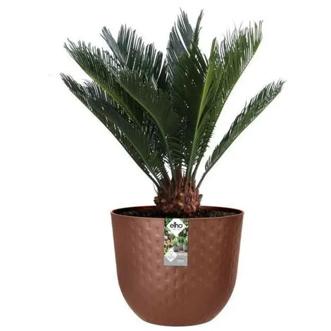 ELHO Fuente Grains Rond 47 Brun Rouillé 2 ELHO Fuente Grains Rond 47 Brun Rouillé – Image 2