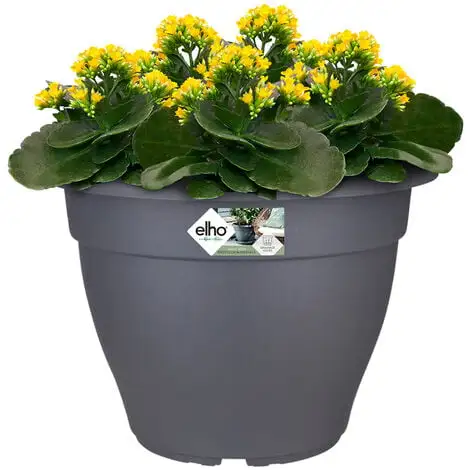 Elho Bac à Fleurs Rond Jardinière Anthracite En Plastique Pour Extérieur Jardin Terrasse Pot De Fleurs 7 Liter (de) 1 Elho Bac à Fleurs Rond Jardinière Anthracite En Plastique Pour Extérieur Jardin Terrasse Pot De Fleurs 7 Liter (de)
