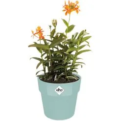 Elho Bac à Fleurs Rond Jardinière Menthe Mûre Violet Pêche En Plastique Pour Extérieur Jardin Terrasse Pot De Fleurs Couleurs Mint/2,9 Liter (de) -ELHO Soldes 50065045 4