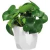 ELHO Jardinière Carré Pot De Fleur Blanc 1,5L Bac à Fleur En Plastique Pour Exterieur Jardin Terrasse
