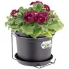 ELHO Jardinière Ronde Pot De Fleur Noir 2,5L Bac à Fleurs En Plastique Pour Jardin Terrasse Décoration