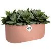 ELHO Jardinière Ovale Pot De Fleur Rose 3,7L Bac à Fleurs En Plastique Pour Jardin Terrasse Décoration