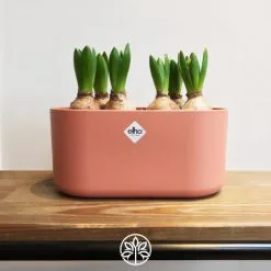 ELHO Jardinière Ovale Pot De Fleur Rose 3,7L Bac à Fleurs En Plastique Pour Jardin Terrasse Décoration 7 ELHO Jardinière Ovale Pot De Fleur Rose 3,7L Bac à Fleurs En Plastique Pour Jardin Terrasse Décoration -ELHO Soldes 50267153 3