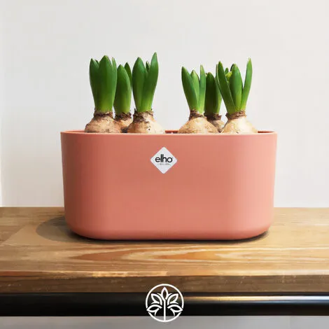 ELHO Jardinière Ovale Pot De Fleur Rose 3,7L Bac à Fleurs En Plastique Pour Jardin Terrasse Décoration 3 ELHO Jardinière Ovale Pot De Fleur Rose 3,7L Bac à Fleurs En Plastique Pour Jardin Terrasse Décoration – Image 3