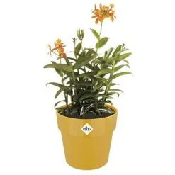 ELHO Soldes -ELHO Soldes 50739760 2