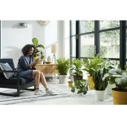 ELHO B.for Original Rond Roues 35 Ocre -ELHO Soldes 50739760 3