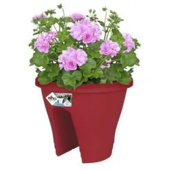 ELHO Bac De Balcon Corsica Flower Bridge 30 - Fruits Rouges - Extérieur & Balcon - L 29,6 X W 29,6 X H 24 Cm -ELHO Soldes 50846995 3