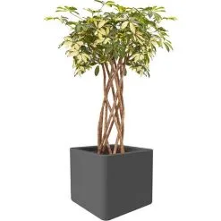 ELHO Pot De Fleurs Pure Soft Brick 40 X H.40 Cm - Anthracite - Anthracite 5 ELHO Pot De Fleurs Pure Soft Brick 40 X H.40 Cm - Anthracite - Anthracite -ELHO Soldes 515691 3
