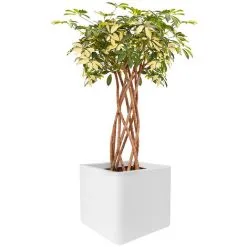 ELHO Pot De Fleurs Pure Soft Brick 50 X H.50 Cm - Blanc - Blanc -ELHO Soldes 515692 3