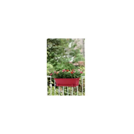 ELHO Balconniere Barcelona 40 - Fruits Rouges - Extérieur & Balcon - L 19,5 X W 39,5 X H 15,6 Cm 4 ELHO Balconniere Barcelona 40 - Fruits Rouges - Extérieur & Balcon - L 19,5 X W 39,5 X H 15,6 Cm – Image 4