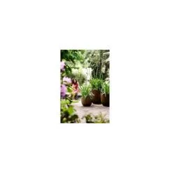 ELHO Fuente Grains Rond 47 Brun Rouillé -ELHO Soldes 52174778 3