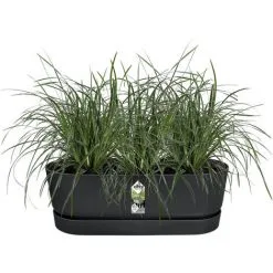 Balconnière Elho Greenville Easy Balcony Noir - Longueur 52 Cm - Noir -ELHO Soldes 52794763 5