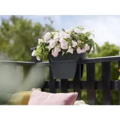 Balconnière Elho Vibia Campana Flower Bridge Anthracite - Longueur 40 Cm - Anthracite 9 Balconnière Elho Vibia Campana Flower Bridge Anthracite - Longueur 40 Cm - Anthracite -ELHO Soldes 52794764 5