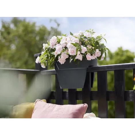 Balconnière Elho Vibia Campana Flower Bridge Anthracite - Longueur 40 Cm - Anthracite 5 Balconnière Elho Vibia Campana Flower Bridge Anthracite - Longueur 40 Cm - Anthracite – Image 5