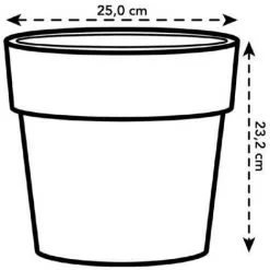 ELHO B.for Original Rond 25 Mûre Violet - Violet