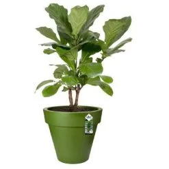 ELHO - Pot De Fleurs - Pure Round Grass 40 - Vert Sportif - Intérieur/extérieur - Ø 39 X H 35 Cm - Vert