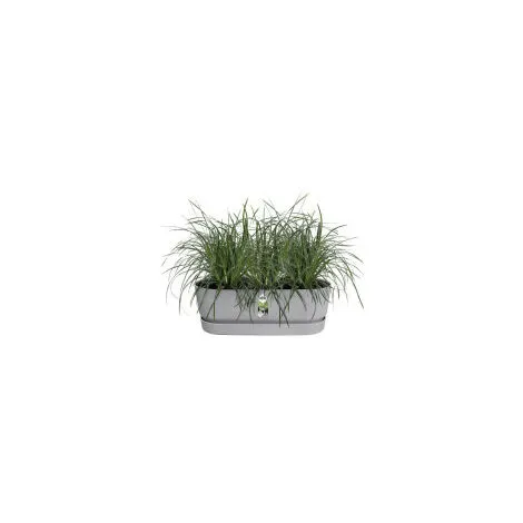 ELHO - Pot De Fleurs - Greenville Easy Balcony 52 - Living Ciment - Balcon - L 21.2 X W 52 X H 19.4 Cm 3 ELHO - Pot De Fleurs - Greenville Easy Balcony 52 - Living Ciment - Balcon - L 21.2 X W 52 X H 19.4 Cm – Image 3