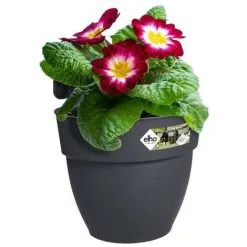 ELHO - Pot De Fleurs - Vibia Campana Easy Hanger Small - Anthracite - Balcon Extérieur - L 24.1 X W 20.5 X H 26.5 Cm -ELHO Soldes 57866293 3