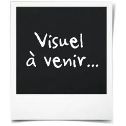 ELHO Balconniere Green Basics 40 - Extérieur & Balcon - L 16,5 X W 39 X H 13,7 Cm - Vivre Noir -ELHO Soldes 58539320 4