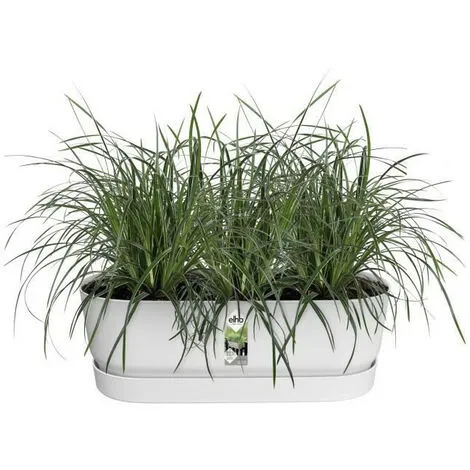 ELHO - Pot De Fleurs - Greenville Easy Balcony 52 - Blanc - Balcon - L 21.2 X W 52 X H 19.4 Cm 3 ELHO - Pot De Fleurs - Greenville Easy Balcony 52 - Blanc - Balcon - L 21.2 X W 52 X H 19.4 Cm – Image 3