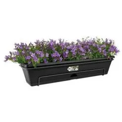 ELHO Balconniere Green Basics Allin1 50 - Extérieur & Balcon - L 25,7 X W 47,3 X H 16,7 Cm - Vivre Noir 8 ELHO Balconniere Green Basics Allin1 50 - Extérieur & Balcon - L 25,7 X W 47,3 X H 16,7 Cm - Vivre Noir -ELHO Soldes 58547860 4