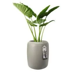 ELHO Pure Beads Medium 40 Greige 5 ELHO Pure Beads Medium 40 Greige -ELHO Soldes 58552777 2