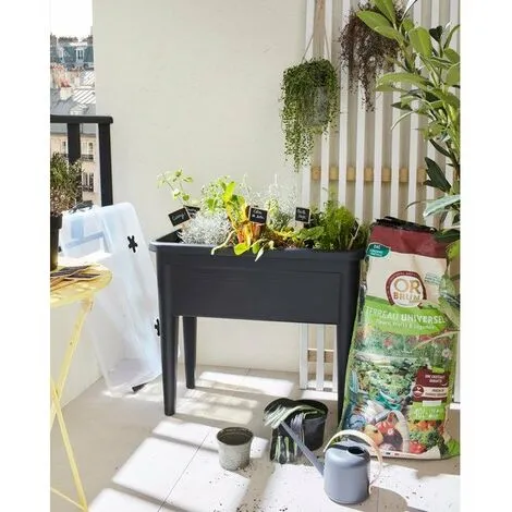 ELHO Table De Culture Green Basics Xxl Living Noir, L.36.5 X L.75.5 X H.65.1 Cm 2 ELHO Table De Culture Green Basics Xxl Living Noir, L.36.5 X L.75.5 X H.65.1 Cm – Image 2