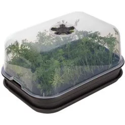 Serre De Culture Green Basics All In 1 - Noir - Elho - Noir