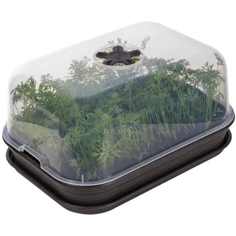 Serre De Culture Green Basics All In 1 - Noir - Elho - Noir 1 Serre De Culture Green Basics All In 1 - Noir - Elho - Noir